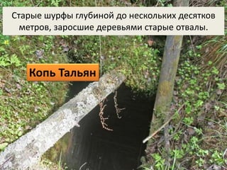 Старые шурфы глубиной до нескольких десятков 
метров, заросшие деревьями старые отвалы. 
Копь Тальян 
 