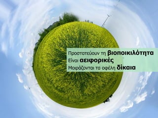 Πξνζηαηεύνπλ ηε βηνπνηθηιόηεηα 
Δίλαη αεηθνξηθέο 
Μνηξάδνληαη ηα νθέιε δίθαηα  