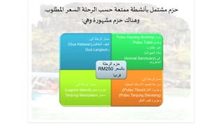 حزم مشتمل بأنشطة ممتعة حسب الرحلة السعر المطلوب. 
وهناك حزم مشهورة وهي: 
مسار الرحلة إلى: 
(Gua Kelawar) كهف الخفافيش 
Gua Langsuir و 
. 
مسار الرحلة بالمرشد السياح إلى: 
Pulau Dayang Bunting جزيرة 
Pulau Tuba وجزيرة 
عبر بالقارب 
ملاذ الحيوانات 
(Animal Sanctuary) في 
المنغروف 
مسار الرحلة إلى: 
حزم الرحلة 
RM بالسعر 250 
فرديا 
(Lagoon Island) جزيرة بحيرة 
Tanjung Mempelam ساحل 
مسارالرحلة إلى: 
مزرعة الصيد الأسماك المحلية 
و(Pulau Tikus) وجزيرة الفأرة 
(Pulau Tanjung Dendang) 
وجزيرة كيب الغاق 
 