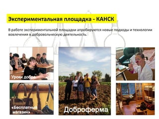 Экспериментальная 
площадка 
-­‐ 
КАНСК 
В 
работе 
экспериментальной 
площадки 
апробируются 
новые 
подходы 
и 
технологии 
вовлечения 
в 
добровольческую 
деятельность. 
 