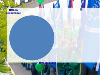 Штабы 
территорий 
Штабы вузов 
 