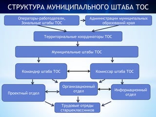 СТРУКТУРА МУНИЦИПАЛЬНОГО ШТАБА ТОС 
Администрации муниципальных 
образований края 
Территориальные координаторы ТОС 
Муниципальные штабы ТОС 
Командир штаба ТОС Комиссар штаба ТОС 
Организационный 
отдел 
Трудовые отряды 
старшеклассников 
Проектный отдел 
Информационный 
отдел 
Операторы-работодатели, 
Зональные штабы ТОС 
 