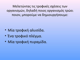 Μελετώντας τις τροφικές σχέσεις των 
οργανισμών, δηλαδή ποιος οργανισμός τρώει 
ποιον, μπορούμε να δημιουργήσουμε: 
• Μία τροφική αλυσίδα. 
• Ένα τροφικό πλέγμα. 
• Μία τροφική πυραμίδα. 
 