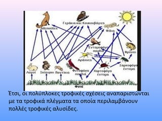 Έτσι, οι πολύπλοκες τροφικές σχέσεις αναπαριστώνται 
με τα τροφικά πλέγματα τα οποία περιλαμβάνουν 
πολλές τροφικές αλυσίδες. 
 