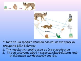 Τόσο σε μία τροφική αλυσίδα όσο και σε ένα τροφικό 
πλέγμα τα βέλη δείχνουν: 
1. Την πορεία της τροφής μέσα σε ένα οικοσύστημα 
2. Τη ροή ενέργειας αφού η ενέργεια εξασφαλίζεται από 
τη διάσπαση των θρεπτικών ουσιών. 
 