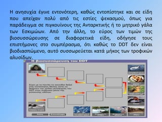 Η ανησυχία έγινε εντονότερη, καθώς εντοπίστηκε και σε είδη 
που απείχαν πολύ από τις εστίες ψεκασμού, όπως για 
παράδειγμα σε πιγκουίνους της Ανταρκτικής ή το μητρικό γάλα 
των Εσκιμώων. Από την άλλη, το εύρος των τιμών της 
βιοσυσσώευσης σε διαφορετικά είδη, οδήγησε τους 
επιστήμονες στο συμπέρασμα, ότι καθώς το DDT δεν είναι 
βιοδιασπώμενο, αυτό συσσωρεύεται κατά μήκος των τροφικών 
αλυσίδων. 
 