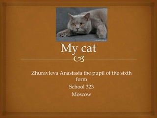 Zhuravleva Anastasia the pupil of the sixth
form
School 323
Moscow