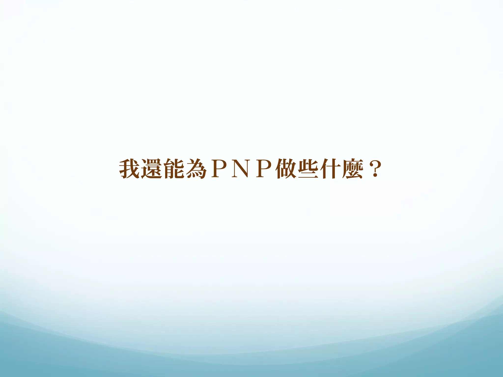 我還能為ＰＮＰ做些什麼？ 
 