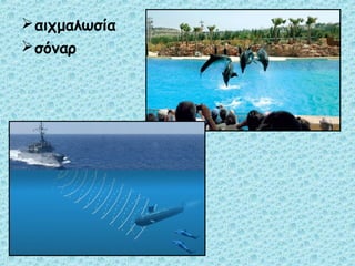 αιχμαλωσία 
σόναρ 
 