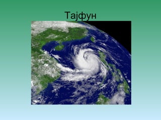 Тајфун 
