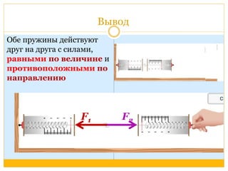 Вывод 
Обе пружины действуют 
друг на друга с силами, 
равными по величине и 
противоположными по 
направлению 
F1 F2 
 