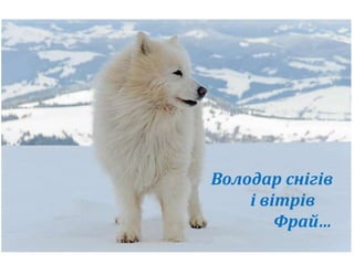 Володар снігів 
і вітрів 
Фрай… 
 