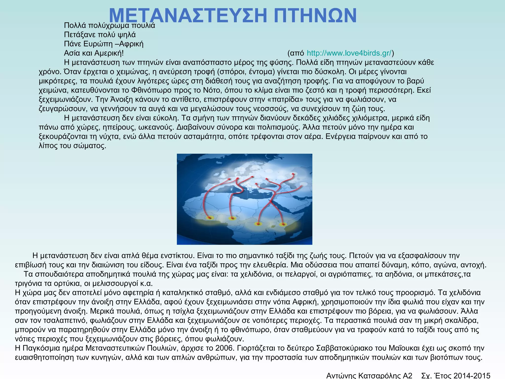 ΜΕΤΑΝΑΣΤΕΥΣΗ ΠΤΗΝΩΝ Πολλά πολύχρωμα πουλιά 
Πετάξανε πολύ ψηλά 
Πάνε Ευρώπη –Αφρική 
Ασία και Αμερική! (από http://www.love4birds.gr/) 
Η μετανάστευση των πτηνών είναι αναπόσπαστο μέρος της φύσης. Πολλά είδη πτηνών μεταναστεύουν κάθε 
χρόνο. Όταν έρχεται ο χειμώνας, η ανεύρεση τροφή (σπόροι, έντομα) γίνεται πιο δύσκολη. Οι μέρες γίνονται 
μικρότερες, τα πουλιά έχουν λιγότερες ώρες στη διάθεσή τους για αναζήτηση τροφής. Για να αποφύγουν το βαρύ 
χειμώνα, κατευθύνονται το Φθινόπωρο προς το Νότο, όπου το κλίμα είναι πιο ζεστό και η τροφή περισσότερη. Εκεί 
ξεχειμωνιάζουν. Την Άνοιξη κάνουν το αντίθετο, επιστρέφουν στην «πατρίδα» τους για να φωλιάσουν, να 
ζευγαρώσουν, να γεννήσουν τα αυγά και να μεγαλώσουν τους νεοσσούς, να συνεχίσουν τη ζώη τους. 
Η μετανάστευση δεν είναι εύκολη. Τα σμήνη των πτηνών διανύουν δεκάδες χιλιάδες χιλιόμετρα, μερικά είδη 
πάνω από χώρες, ηπείρους, ωκεανούς. Διαβαίνουν σύνορα και πολιτισμούς. Άλλα πετούν μόνο την ημέρα και 
ξεκουράζονται τη νύχτα, ενώ άλλα πετούν ασταμάτητα, οπότε τρέφονται στον αέρα. Ενέργεια παίρνουν και από το 
λίπος του σώματος. 
Η μετανάστευση δεν είναι απλά θέμα ενστίκτου. Είναι το πιο σημαντικό ταξίδι της ζωής τους. Πετούν για να εξασφαλίσουν την 
επιβίωσή τους και την διαιώνιση του είδους. Είναι ένα ταξίδι προς την ελευθερία. Μια οδύσσεια που απαιτεί δύναμη, κόπο, αγώνα, αντοχή. 
Τα σπουδαιότερα αποδημητικά πουλιά της χώρας μας είναι: τα χελιδόνια, οι πελαργοί, οι αγριόπαπιες, τα αηδόνια, οι μπεκάτσες,τα 
τριγόνια τα ορτύκια, οι μελισσουργοί κ.α. 
Η χώρα μας δεν αποτελεί μόνο αφετηρία ή καταληκτικό σταθμό, αλλά και ενδιάμεσο σταθμό για τον τελικό τους προορισμό. Τα χελιδόνια 
όταν επιστρέφουν την άνοιξη στην Ελλάδα, αφού έχουν ξεχειμωνιάσει στην νότια Αφρική, χρησιμοποιούν την ίδια φωλιά που είχαν και την 
προηγούμενη άνοιξη. Μερικά πουλιά, όπως η τσίχλα ξεχειμωνιάζουν στην Ελλάδα και επιστρέφουν πιο βόρεια, για να φωλιάσουν. Άλλα 
σαν τον τσαλαπετινό, φωλιάζουν στην Ελλάδα και ξεχειμωνιάζουν σε νοτιότερες περιοχές. Τα περαστικά πουλιά σαν τη μικρή σκαλίδρα, 
μπορούν να παρατηρηθούν στην Ελλάδα μόνο την άνοιξη ή το φθινόπωρο, όταν σταθμεύουν για να τραφούν κατά το ταξίδι τους από τις 
νότιες περιοχές που ξεχειμωνιάζουν στις βόρειες, όπου φωλιάζουν. 
Η Παγκόσμια ημέρα Μεταναστευτικών Πουλιών, άρχισε το 2006. Γιορτάζεται το δεύτερο Σαββατοκύριακο του Μαΐουκαι έχει ως σκοπό την 
ευαισθητοποίηση των κυνηγών, αλλά και των απλών ανθρώπων, για την προστασία των αποδημητικών πουλιών και των βιοτόπων τους. 
Αντώνης Κατσαρόλης Α2 Σχ. Έτος 2014-2015 
 
