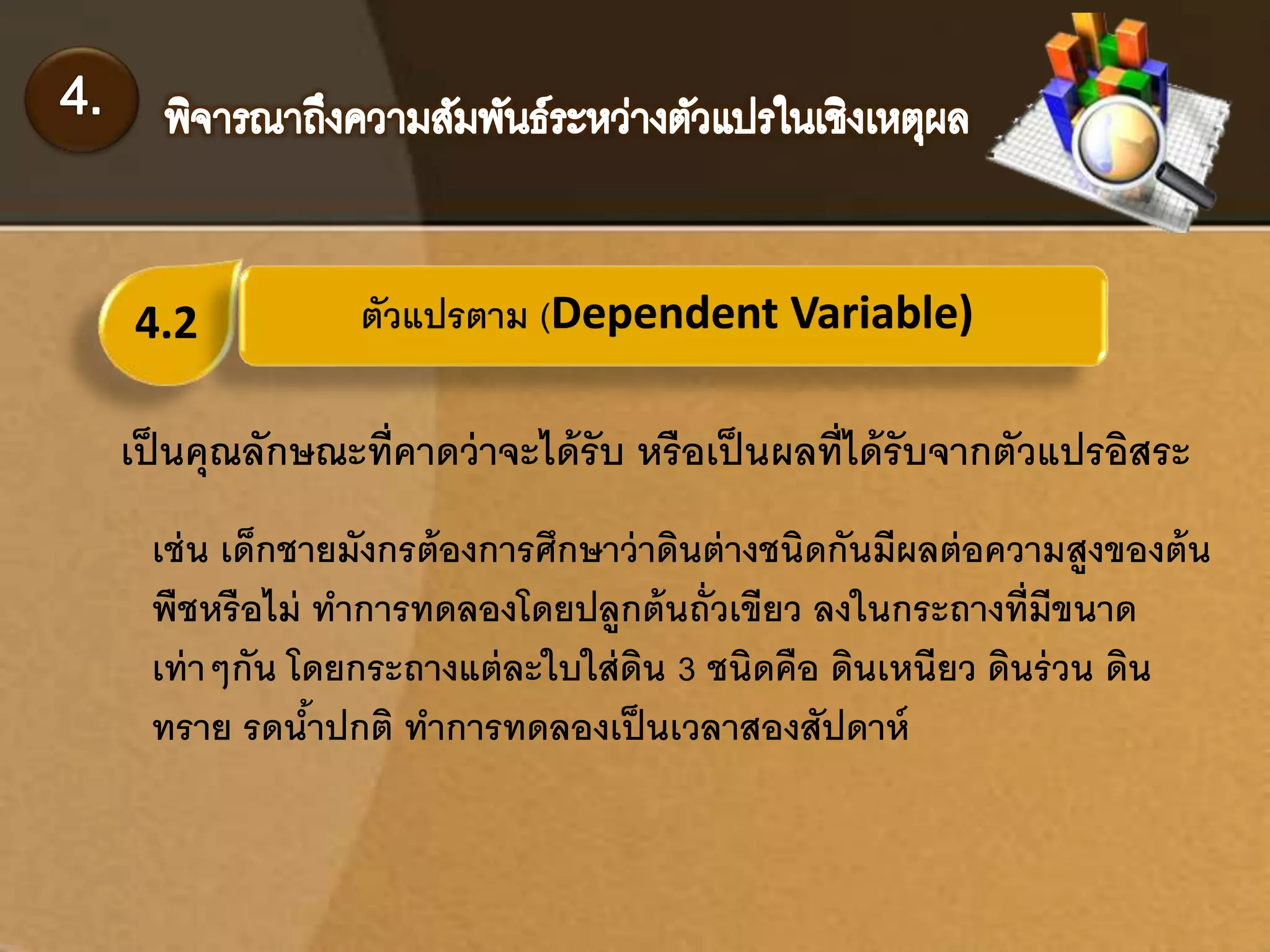 4.2 ตัวแปรตาม (Dependent Variable) 
เป็นคุณลักษณะที่คาดว่าจะได้รับ หรือเป็นผลที่ได้รับจากตัวแปรอิสระ 
เช่น เด็กชายมังกรต้องการศึกษาว่าดินต่างชนิดกันมีผลต่อความสูงของต้น 
พืชหรือไม่ ทา การทดลองโดยปลูกต้นถั่วเขียว ลงในกระถางที่มีขนาด 
เท่าๆกัน โดยกระถางแต่ละใบใส่ดิน 3 ชนิดคือ ดินเหนียว ดินร่วน ดิน 
ทราย รดน้าปกติ ทา การทดลองเป็นเวลาสองสัปดาห์ 
 