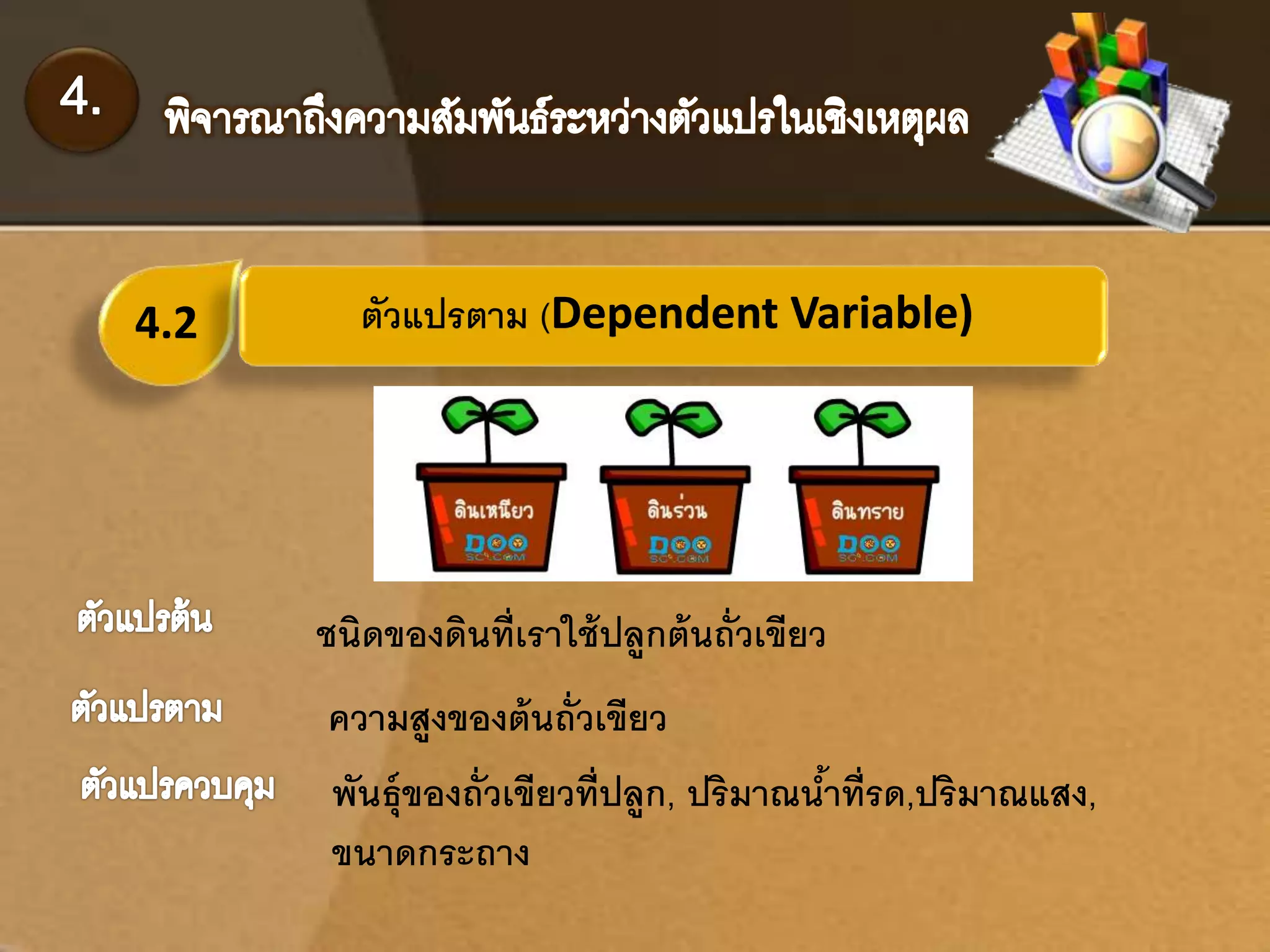 4.2 ตัวแปรตาม (Dependent Variable) 
ชนิดของดินที่เราใช้ปลูกต้นถั่วเขียว 
ความสูงของต้นถั่วเขียว 
พันธ์ุของถั่วเขียวที่ปลูก, ปริมาณน้าที่รด,ปริมาณแสง, 
ขนาดกระถาง 
 