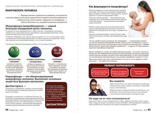 Как формируется микрофлора? 
Ребенок рождается на свет, проходя через родовые 
пути мамы. При этом он присоединяет микрофлору 
мамы, которая становится его нормофлорой - родной 
защитой от агрессии окружающего мира. 
Папа взял на руки малыша — присоединилась ми- 
крофлора папы. Любой физический контакт малыша 
с внешним миром — присоединение микрофлор 
новых контактов. 
Ребенок пошел в детский сад. В коллективе много 
разных новых физических контактов. Пока все не 
обменяются микрофлорой, дети будут периодически 
болеть. 
Новичок, который приходит в группу, болеет чаще, 
чем остальные дети, которые уже адаптированы друг 
к другу. 
«Что вы скребете вашего младенца, как сковородку!» — с возмущением говорит 
нео-натолог Валентина Михайловна Попова. «Где он успел так замараться, что его 
нужно мыть мылом или гелем для душа, класть в ванночку пены для ванн с ПАВами? 
Прополоскали с душистыми травками, промокнули — и чудесно. Не надо нарушать 
защитную нормофлору младенца!» 
Мы все «перемыты» сегодня, мы живем в бешенном ритме — все успеть, ничего не 
пропустить. Мы привыкли мыться два раза в день минимум, мы моем посуду одной 
каплей средства, которое способно смыть килограмм жира, но при этом не думаем, 
что наш липидный защитный барьер, наша родная нормофлора страдают от этого. 
Надо четко усвоить для себя и своих близких, что если ты что-то нарушил в своем 
оорргггааннииззммее —— ппооссттааррааййссяя ввооссссттааннооввииттьь. 
УБИВАЕТ НОРМОФЛОРУ: 
Химия. Бытовая химия, 
агрессивные анибактери- 
альные средства. 
Лекарства. Антибиотики 
и другие сильнодейству- 
ющие препараты. 
Экологическая 
обстановка 
ВВыы ссккаажжееттее: 
«Даже зная об этом, я не перестану убирать квартиру, 
стирать белье, мыть посуду, не откажусь от бытовой 
химии и гелей для душа. 
Я буду принимать лекарства, даже антибиотики, если 
необходимо. И уж тем более ничего не смогу сделать 
с экологической обстановкой, в которой я живу». 
Не надо ни от чего отказываться! 
Надо просто быть чуточку внимательнее к себе и «добрым жителям» своего микро- 
мира. Средства личной и интимной гигиены SENGARA с бактериофагами и пребиоти- 
ками разработаны специально для защиты нормофлоры человека. 
Sengara изд.1 - 2014 45 
Средства личной и интимной гигиены с бактериофагами и пребиотиками 
МИКРОФЛОРА ЧЕЛОВЕКА 
«…Здоровый вид кожи, нормальное пищеварение, устойчивость 
к внешней инфекции (состояние иммунитета) человека во многом определяется 
стабильностью, можно сказать, «здоровьем» его микрофлоры…» 
(Евгений Жиленков, к.б.н., разработчик фаговых препаратов) 
Микрофлора (микробиоциноз) — самый 
большой невидимый орган человека. 
На рубеже ХХI века сформировалось представление о микрофлоре организма 
человека как о еще одном органе, равномерно покрывающим кишечную стенку, 
слизистые оболочки и кожу человека. 
Оставаясь невидимым, этот «орган» весит в среднем 2,5–3 кг и насчитывает около 
ста биллионов клеток микроорганизмов. Это число в десять раз превышает число 
собственных клеток организма-хозяина, то есть клеток человека. 
Постоянные обитатели микрофлоры делятся на 3 условных категории: 
НЕПАТОГЕННЫЕ 
(«ХОРОШИЕ») 
милейшие существа, 
которые защищают нас 
от патогенных микробов, 
их токсинов, помогают 
нам во всех процессах 
жизнедеятельности. 
ПАТОГЕННЫЕ 
(«ПЛОХИЕ») 
«бандиты» и «пришельцы» 
извне. Выделяют токсины 
и отравляют организм. 
При малейшем ослаблении 
защиты могут вызвать не- 
приятнейшие болезни. 
УСЛОВНО-ПАТОГЕННЫЕ 
(«ЗАГАДОЧНЫЕ») 
вообще не вредные, но 
порой, когда их количест- 
во увеличивается, прев- 
ращаются в патогенные 
и вызывают расстройства 
и заболевания. 
Нормофлора — это сбалансированная 
микрофлора человека. Выполняет основные 
защитные ффуункции оррганизма. 
Дисбактериоз — 
нарушения в нормофлоре человека, которые неред- 
ко сопровождаются развитием различных патологи- 
ческих состояний. 
Например, установлено, что язвенная болезнь, ате- 
росклероз, мочекаменная и желчекаменная болезни, 
некоторые формы новообразований и аллергические 
е 
проявления так же, как и многие другие, в той или 
иной степени связаны с дисбалансом микрофлоры 
человека (дисбактериозом различных органов). 
Уничтожая без разбора 
«все известные бактерии», 
мы уничтожаем в первую 
очередь непатагенных, 
а на их место тут же заселя- 
ются «бандиты и разбойни- 
ки» — патогенные, чужерод- 
ные микроорганизмы. 
В результате получаем 
ДИСБАКТЕРИОЗ 
44 Sengara изд.1 - 2014 
 