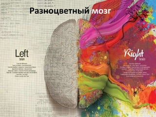 Разноцветный мозг 
 