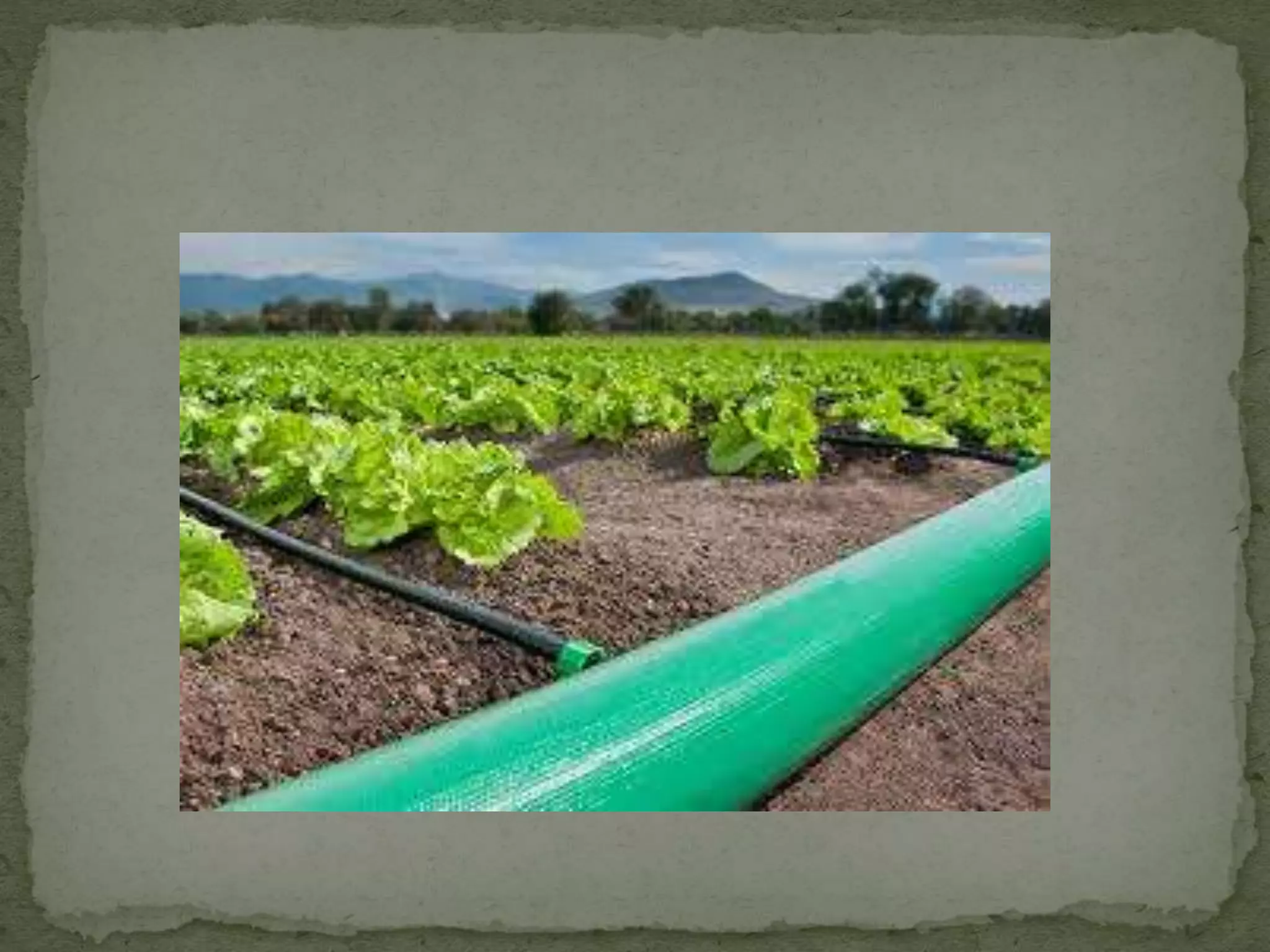 eqნალექი საქართველოში