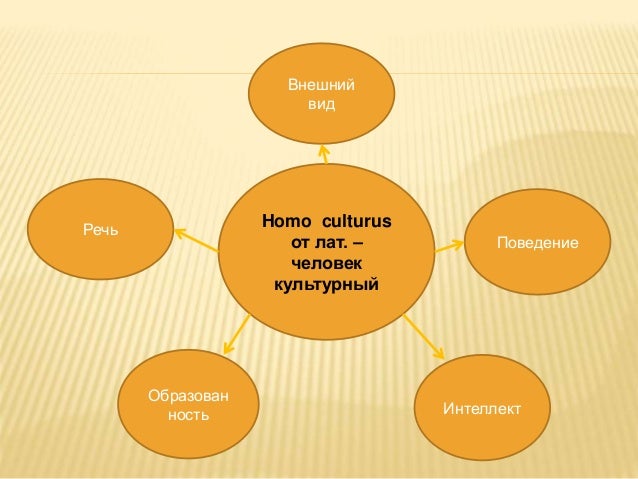 Модель культурного человека