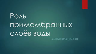 Роль 
примембранных 
слоёв воды 
ШАМСУДИНОВА ДИНАРА 01-202 
 