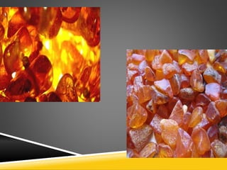 Моя страна Латвия!