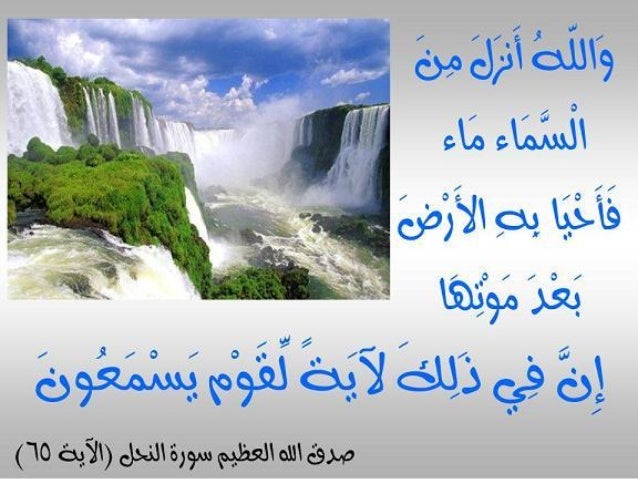 Image result for الماء