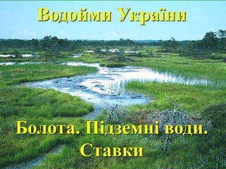 Водойми України 
Болота. Підземні води. 
Ставки 
 