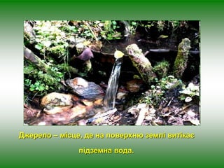 Джерело – місце, де на поверхню землі витікає 
підземна вода. 
 