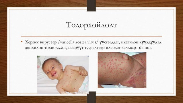 салхин цэцэг | PPT