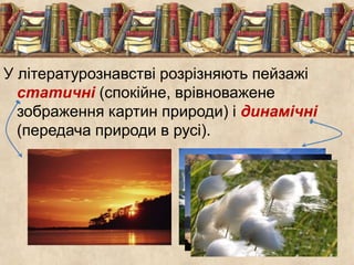 У літературознавстві розрізняють пейзажі 
статичні (спокійне, врівноважене 
зображення картин природи) і динамічні 
(передача природи в русі). 
 