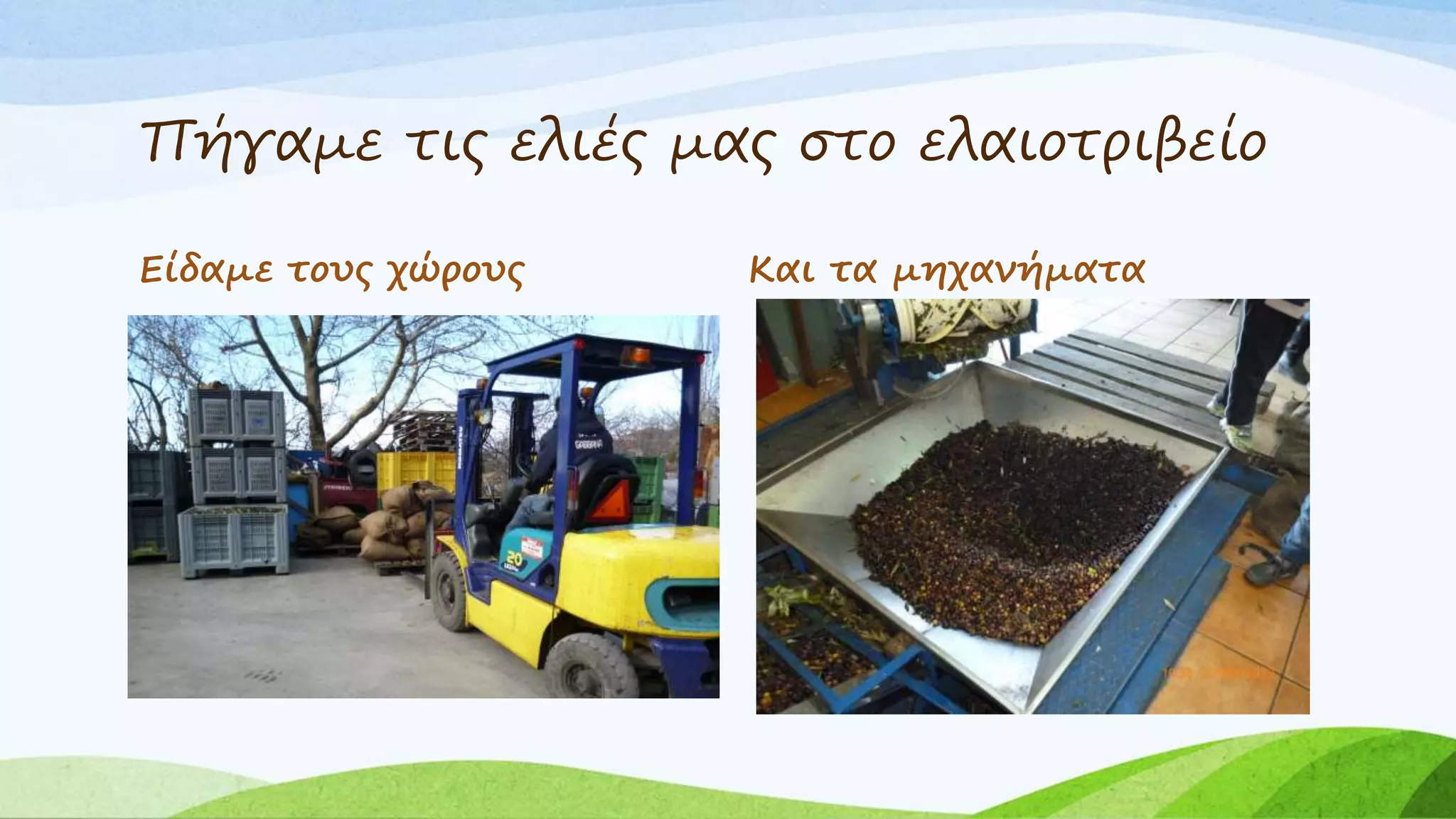 Πήγαμε τις ελιές μας στο ελαιοτριβείο 
Είδαμε τους χώρους Και τα μηχανήματα 
 