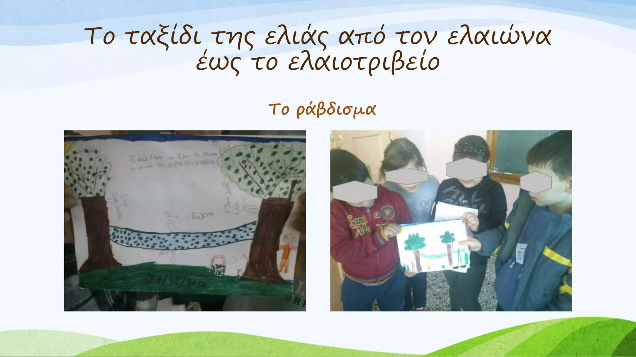 Το ταξίδι της ελιάς από τον ελαιώνα 
έως το ελαιοτριβείο 
Το ράβδισμα 
 