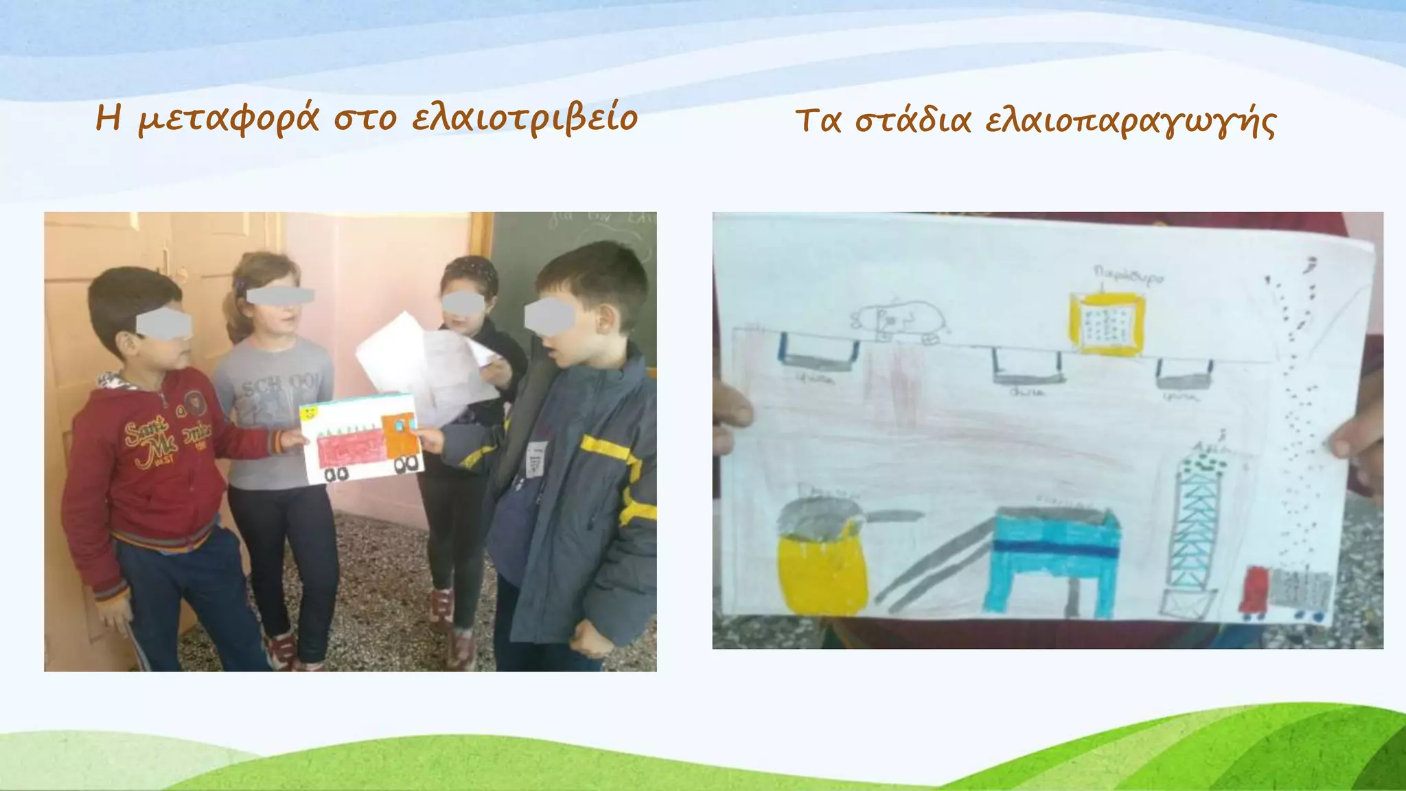 Η μεταφορά στο ελαιοτριβείο Τα στάδια ελαιοπαραγωγής 
 