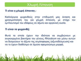 Χλωρή Λίπανση 
Τι είναι η χλωρή λίπανση ; 
Kαλλιέργεια ψυχανθούς στην επιθυμητή μας έκταση και 
χρησιμοποίηση του για χλωρή λίπανση, με στόχο τον 
εμπλουτισμό του εδάφους σε άζωτο και οργανική ουσία. 
Τι είναι τα ψυχανθή; 
Φυτά τα οποία έχουν την ιδιότητα να συμβιώνουν με 
συγκεκριμένα βακτήρια του γένους Rhizobium και μέσω αυτών 
να δεσμεύουν το άζωτο της ατμόσφαιρας (αζωτοδέσμευση) και 
να το έχουν διαθέσιμο σε άμεσα αφομοιώσιμη μορφή. 
 