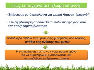 Πως επιτυγχάνεται η χλωρή λίπανση 
• Σπέρνουμε φυτά κατάλληλα για χλωρή λίπανση (ψυχανθή) 
• Χλωρή βλάστηση αποσυντίθεται πολύ πιο γρήγορα από 
την αποξηραμένη βλάστηση 
Κατάλληλο στάδιο ενσωμάτωσης φυτομάζας στο έδαφος, 
στάδιο της άνθισης του φυτού 
Η ενσωμάτωση πρέπει να γίνεται αρκετό χρόνο 
για να συμπληρωθεί η αποσύνθεση και 
να αποδοθούν τα θρεπτικά στοιχεία 
 