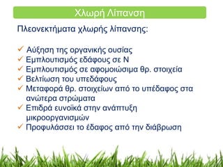 Χλωρή Λίπανση 
Πλεονεκτήματα χλωρής λίπανσης: 
 Aύξηση της οργανικής ουσίας 
 Εμπλουτισμός εδάφους σε Ν 
 Εμπλουτισμός σε αφομοιώσιμα θρ. στοιχεία 
 Βελτίωση του υπεδάφους 
 Μεταφορά θρ. στοιχείων από το υπέδαφος στα 
ανώτερα στρώματα 
 Επιδρά ευνοϊκά στην ανάπτυξη 
μικροοργανισμών 
 Προφυλάσσει το έδαφος από την διάβρωση 
 