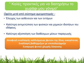 “ Καλές πρακτικές για να διατηρήσω το 
χωράφι μου γόνιμο” 
Οφέλη μετά από σύστημα αμειψισποράς : 
• Έλεγχος των ασθενειών και των εντόμων 
• Καλύτερη αντιμετώπιση των φυσικών και χημικών ιδιοτήτων του 
εδάφους 
• Καλύτερη αξιοποίηση των διαθέσιμων μέσων παραγωγής 
Αποφυγή εναλλαγής καλλιέργειας φυτών της ίδιας οικογένειας 
Εναλλαγή βαθύρριζων με επιπολαιόρριζα 
Εισαγωγή φυτού χλωρής λίπανσης 
 