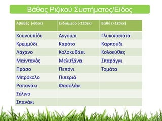 Βάθος Ριζικού Συστήματος/Είδος 
Αβαθές (-60εκ) Ενδιάμεσο (-120εκ) Βαθύ (>120εκ) 
Κουνουπίδι Αγγούρι Γλυκοπατάτα 
Κρεμμύδι Καρότο Καρπούζι 
Λάχανο Κολοκυθάκι Κολοκύθες 
Μαϊντανός Μελιτζάνα Σπαράγγι 
Πράσο Πεπόνι Τομάτα 
Μπρόκολο Πιπεριά 
Ραπανάκι Φασολάκι 
Σέλινο 
Σπανάκι 
 