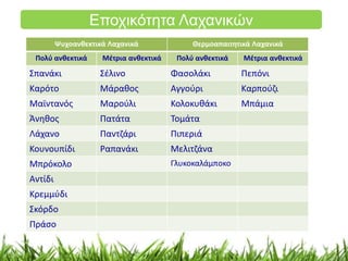 Εποχικότητα Λαχανικών 
Ψυχοανθεκτικά Λαχανικά Θερμοαπαιτητικά Λαχανικά 
Πολύ ανθεκτικά Μέτρια ανθεκτικά Πολύ ανθεκτικά Μέτρια ανθεκτικά 
Σπανάκι Σέλινο Φασολάκι Πεπόνι 
Καρότο Μάραθος Αγγούρι Καρπούζι 
Μαϊντανός Μαρούλι Κολοκυθάκι Μπάμια 
Άνηθος Πατάτα Τομάτα 
Λάχανο Παντζάρι Πιπεριά 
Κουνουπίδι Ραπανάκι Μελιτζάνα 
Μπρόκολο Γλυκοκαλάμποκο 
Αντίδι 
Κρεμμύδι 
Σκόρδο 
Πράσο 
 