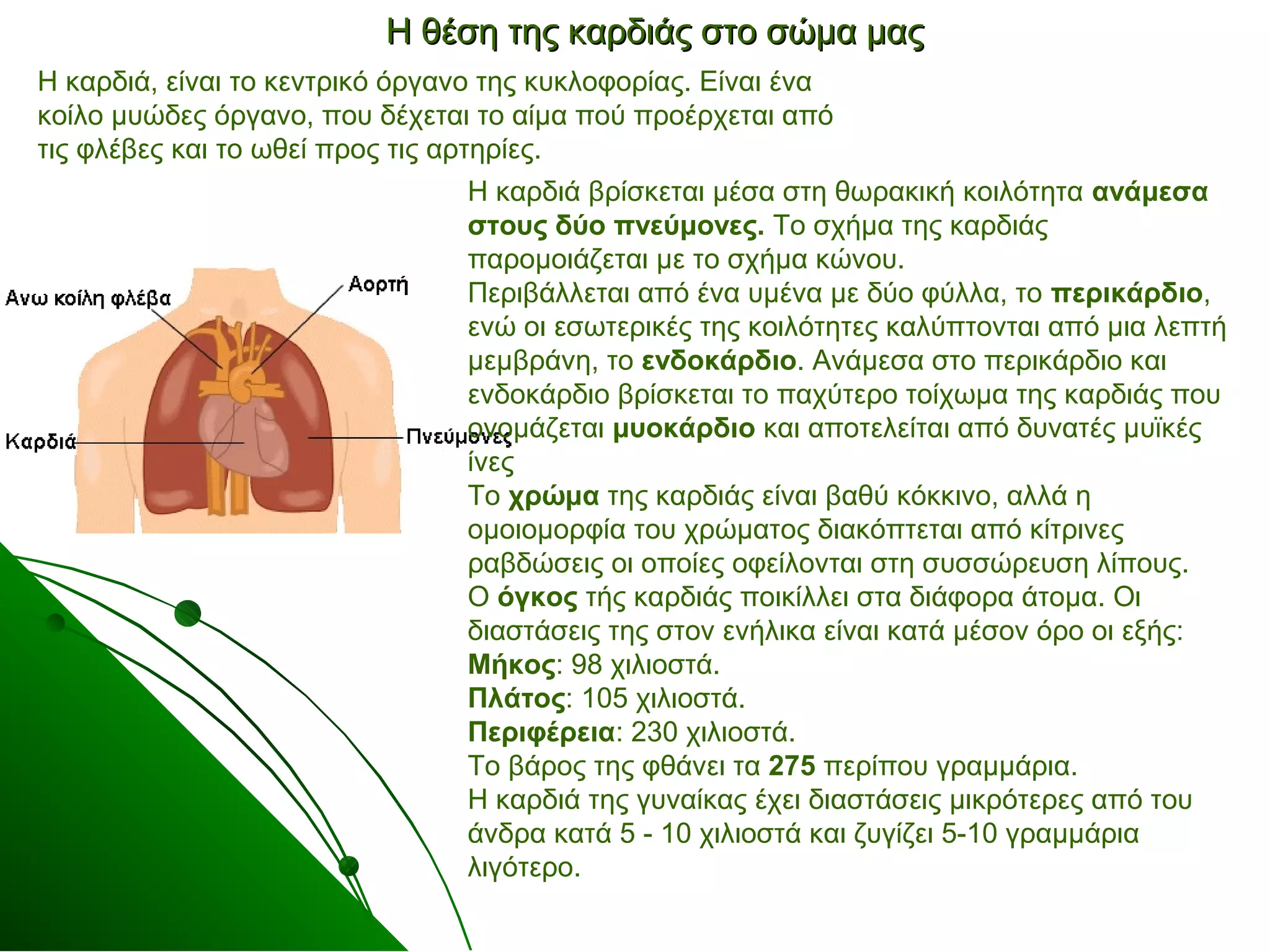Η θέση της κκααρρδδιιάάςς σσττοο σσώώμμαα μμααςς 
Η καρδιά, είναι το κεντρικό όργανο της κυκλοφορίας. Είναι ένα 
κοίλο μυώδες όργανο, που δέχεται το αίμα πού προέρχεται από 
τις φλέβες και το ωθεί προς τις αρτηρίες. 
Η καρδιά βρίσκεται μέσα στη θωρακική κοιλότητα ανάμεσα 
στους δύο πνεύμονες. Το σχήμα της καρδιάς 
παρομοιάζεται με το σχήμα κώνου. 
Περιβάλλεται από ένα υμένα με δύο φύλλα, το περικάρδιο, 
ενώ οι εσωτερικές της κοιλότητες καλύπτονται από μια λεπτή 
μεμβράνη, το ενδοκάρδιο. Ανάμεσα στο περικάρδιο και 
ενδοκάρδιο βρίσκεται το παχύτερο τοίχωμα της καρδιάς που 
ονομάζεται μυοκάρδιο και αποτελείται από δυνατές μυϊκές 
ίνες 
Το χρώμα της καρδιάς είναι βαθύ κόκκινο, αλλά η 
ομοιομορφία του χρώματος διακόπτεται από κίτρινες 
ραβδώσεις οι οποίες οφείλονται στη συσσώρευση λίπους. 
Ο όγκος τής καρδιάς ποικίλλει στα διάφορα άτομα. Οι 
διαστάσεις της στον ενήλικα είναι κατά μέσον όρο οι εξής: 
Μήκος: 98 χιλιοστά. 
Πλάτος: 105 χιλιοστά. 
Περιφέρεια: 230 χιλιοστά. 
Το βάρος της φθάνει τα 275 περίπου γραμμάρια. 
Η καρδιά της γυναίκας έχει διαστάσεις μικρότερες από του 
άνδρα κατά 5 - 10 χιλιοστά και ζυγίζει 5-10 γραμμάρια 
λιγότερο. 
 