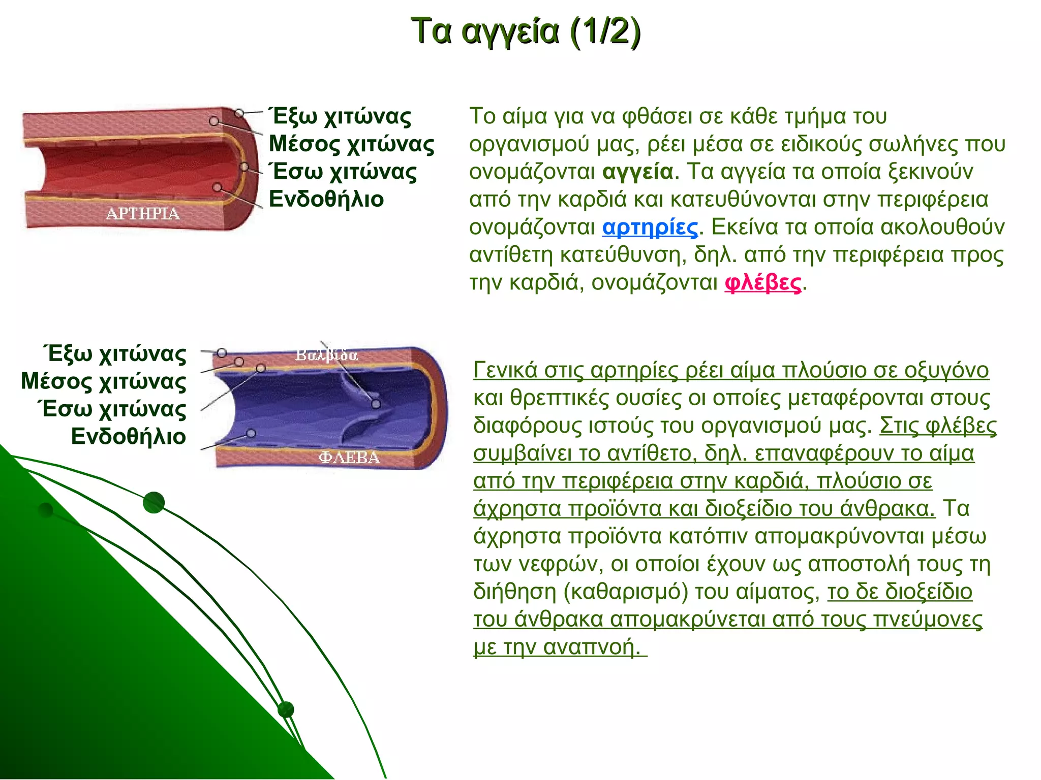 ΤΤαα ααγγγγεείίαα ((11//22)) 
Το αίμα για να φθάσει σε κάθε τμήμα του 
οργανισμού μας, ρέει μέσα σε ειδικούς σωλήνες που 
ονομάζονται αγγεία. Τα αγγεία τα οποία ξεκινούν 
από την καρδιά και κατευθύνονται στην περιφέρεια 
ονομάζονται αρτηρίες. Εκείνα τα οποία ακολουθούν 
αντίθετη κατεύθυνση, δηλ. από την περιφέρεια προς 
την καρδιά, ονομάζονται φλέβες. 
Γενικά στις αρτηρίες ρέει αίμα πλούσιο σε οξυγόνο 
και θρεπτικές ουσίες οι οποίες μεταφέρονται στους 
διαφόρους ιστούς του οργανισμού μας. Στις φλέβες 
συμβαίνει το αντίθετο, δηλ. επαναφέρουν το αίμα 
από την περιφέρεια στην καρδιά, πλούσιο σε 
άχρηστα προϊόντα και διοξείδιο του άνθρακα. Τα 
άχρηστα προϊόντα κατόπιν απομακρύνονται μέσω 
των νεφρών, οι οποίοι έχουν ως αποστολή τους τη 
διήθηση (καθαρισμό) του αίματος, το δε διοξείδιο 
του άνθρακα απομακρύνεται από τους πνεύμονες 
με την αναπνοή. 
Έξω χιτώνας 
Μέσος χιτώνας 
Έσω χιτώνας 
Ενδοθήλιο 
Έξω χιτώνας 
Μέσος χιτώνας 
Έσω χιτώνας 
Ενδοθήλιο 
 