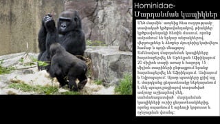 Hominidae- 
Մարդանման կապիկներ 
Մեծ մարմին՝ առջևից հետ ուղղությամբ 
տափակած կրծքավանդակով, թիակներ՝ 
կրծքավանդակի հետին մասում, որոնք 
ամրանում են երկար անրակներով, 
վերջույթներ և ձեռքեր ճյուղերից կախվելու 
համար և պոչի մնացորդ: 
Ամենավաղ մարդանման կապիկները 
հայտնաբերվել են Արևելյան Աֆրիկայում 
20 միլիոն տարի առաջ և հաջորդ 15 
միլիոն տարիների ընթացքում նրանք 
հայտնաբերվել են Աֆրիկայում, Ասիայում 
և Եվրոպայում: Այսօր պատկերը լրիվ այլ 
է, մարդկանց ցեղատեսակը ներկայանում 
է մեկ պոպուլյացիայով տարածված 
ամբողջ աշխարհով մեկ, 
սահմանազատված ՝ մարդանման 
կապիկների ուրիշ ցեղատեսակներից, 
որոնց սպառնում է արեալի կորուստ և 
ոչնչացման վտանգ: 
 