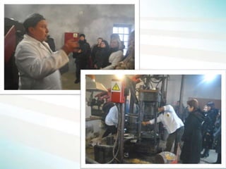 Підтримка багатостороннього співробітництва для розробки і впровадження місцевих стратегій сталого розвитку в трьох сільських громада