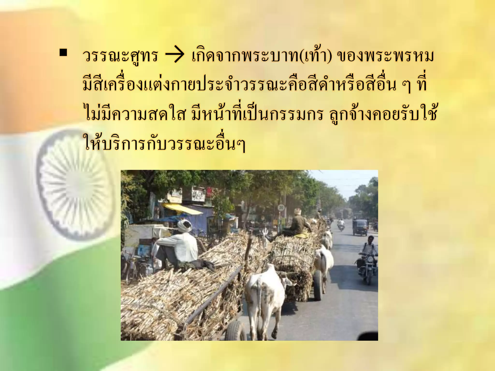  วรรณะศูทร → เกิดจากพระบาท(เท้า) ของพระพรหม 
มีิีเครื่องแต่งกายประจา วรรณะคือิีดา หรือิีอื่น ๆ ที่ 
ไม่มีความิดใิ มีหน้าที่เป็นกรรมกร ลูกจ้างคอยรับใช้ 
ให้บริการกับวรรณะอื่นๆ 
 