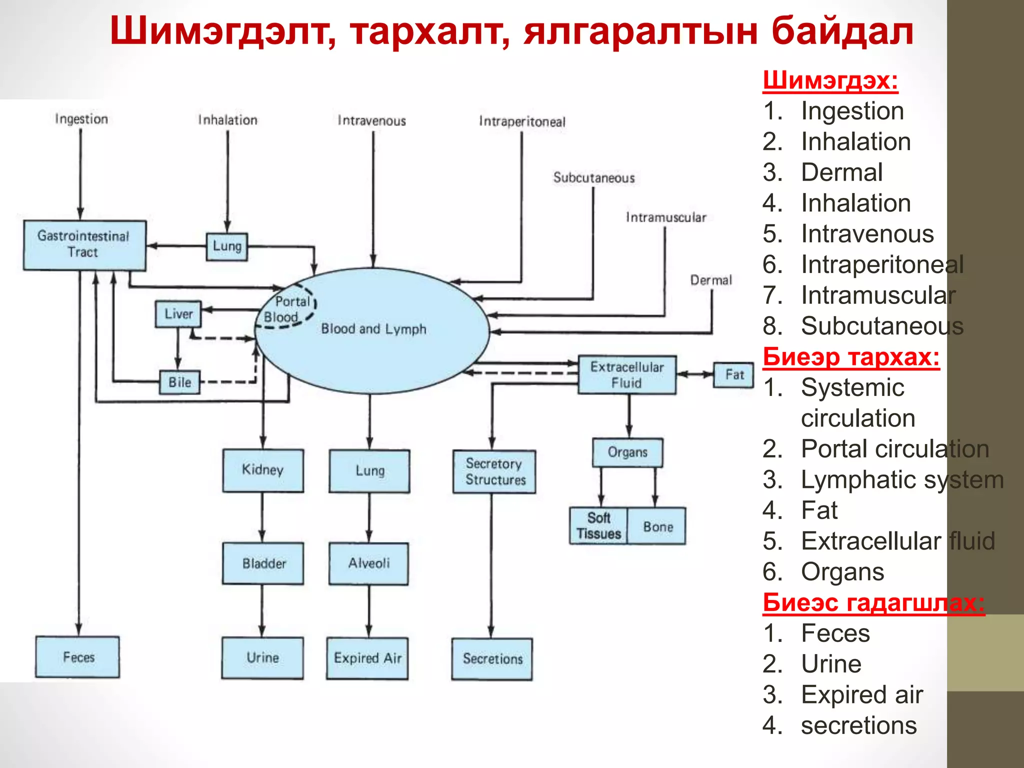 арьс салстаар хордох | PPT