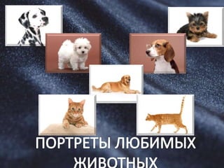 презентация