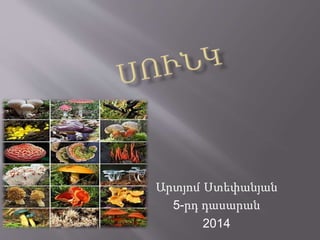 Արտյոմ Ստեփանյան 
5-րդ դասարան 
2014 
 