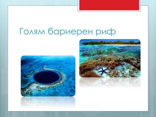 Голям бариерен риф 
 