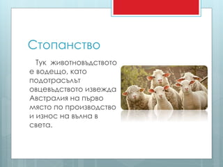 Стопанство 
Тук животновъдството 
е водещо, като 
подотрасълът 
овцевъдството извежда 
Австралия на първо 
място по производство 
и износ на вълна в 
света. 
 