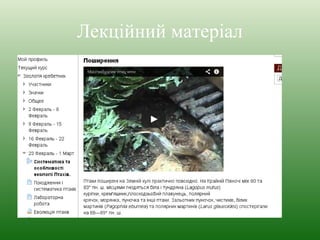 Лекційний матеріал 
 
